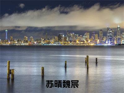 苏晴魏宸（魏宸苏晴）全文免费阅读无弹窗大结局_魏宸苏晴（苏晴魏宸免费阅读）_笔趣阁