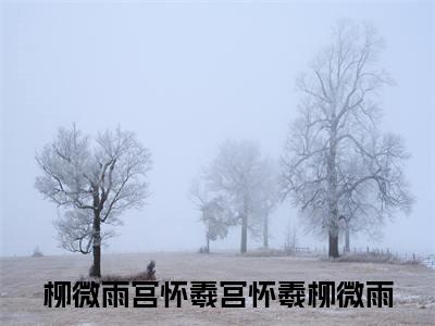 宫怀羲柳微雨(柳微雨宫怀羲)全文免费阅读无弹窗大结局_(宫怀羲柳微雨全文阅读)柳微雨宫怀羲无弹窗最新章节列表_笔趣阁柳微雨宫怀羲