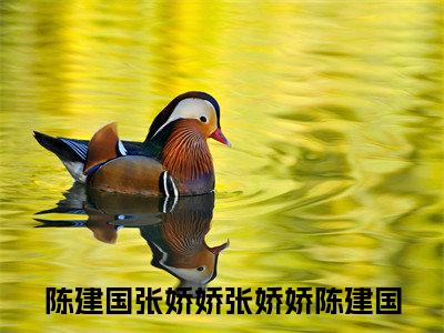 陈建国张娇娇（张娇娇陈建国）小说结局-陈建国张娇娇全文无弹窗阅读