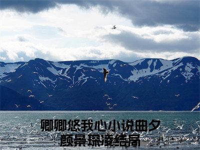 卿卿悠我心（曲夕颜景琛凌）全文免费阅读无弹窗大结局_卿卿悠我心免费阅读无弹窗