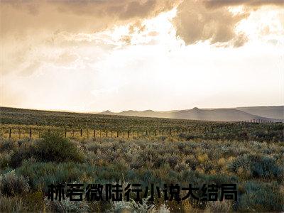 陆行林若微是什么小说-林若微陆行全文免费阅读无弹窗大结局（陆行林若微）最新章节阅读