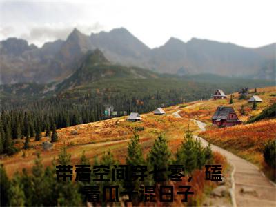 盛晚烟顾廷枭全文免费阅读（带着空间穿七零，磕着瓜子混日子小说）全文免费阅读无弹窗大结局_（盛晚烟顾廷枭全文免费阅读无弹窗）带着空间穿七零，磕着瓜子混日子小说最新章节列表_笔趣阁（盛晚烟顾廷枭）