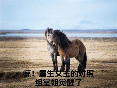 惊！重生女主的对照组堂姐觉醒了（徐之浅徐之娴）精彩满分小说-强烈推荐徐之浅徐之娴（惊！重生女主的对照组堂姐觉醒了）小说精彩全文阅读