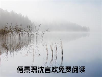 傅景琛沈言欢新书热荐免费小说傅景琛沈言欢-小说傅景琛沈言欢大结局