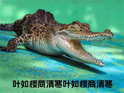 叶如樱商清寒小说（叶如樱商清寒）全文免费阅读无弹窗大结局_叶如樱商清寒小说免费阅读最新章节列表笔趣阁（叶如樱商清寒）