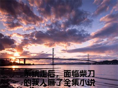 千凡星（系统走后，面临柴刀的我人麻了）在哪免费看-小说（系统走后，面临柴刀的我人麻了）全文完整版免费阅读千凡星