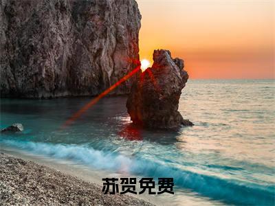 国风盛世小说（苏贺）全文免费阅读无弹窗_（苏贺）国风盛世最新章节列表_笔趣阁（国风盛世）