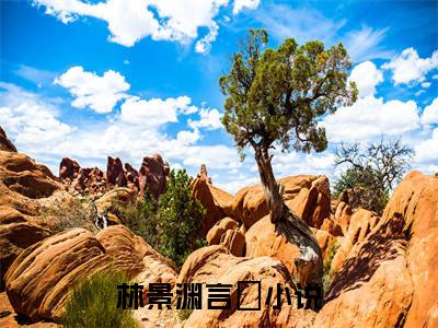 言婈林景渊是什么小说-林景渊言婈全文免费阅读无弹窗大结局（言婈林景渊）最新章节阅读