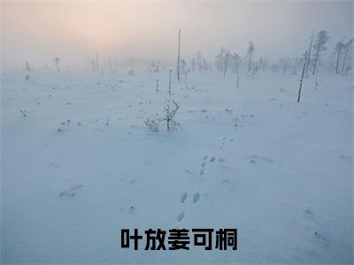 姜可桐叶放叶放姜可桐小说全文无广告阅读-姜可桐叶放小说赏析叶放姜可桐