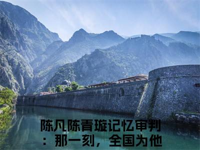 记忆审判：那一刻，全国为他痛哭热门小说陈凡陈青璇最新章节免费阅读-完结版全文陈凡陈青璇小说在线阅读