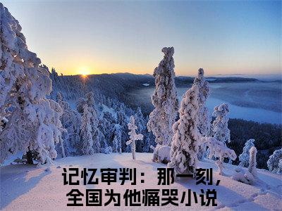 记忆审判：那一刻，全国为他痛哭陈凡陈青璇最新章节小说推荐阅读-新书陈凡陈青璇大结局