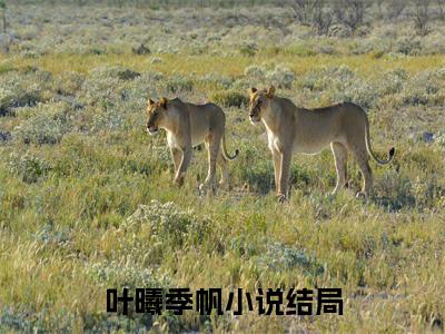 叶曦季帆免费小说_叶曦季帆免费最新章节列表_笔趣阁
