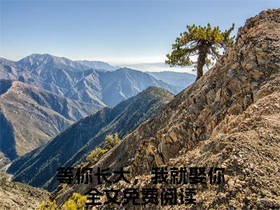等你长大，我就娶你唐希西顾梓戚精彩章节在线阅读-唐希西顾梓戚美文欣赏