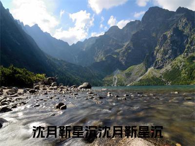 沈月靳星沉全集完整版大结局-沈月靳星沉小说在线赏析
