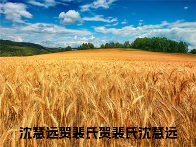 沈慧远贺裴氏(贺裴氏沈慧远)小说免费下载全本-沈慧远贺裴氏（贺裴氏沈慧远完整版）免费阅读（沈慧远贺裴氏）