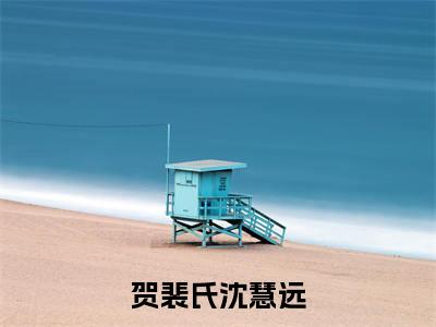 沈慧远贺裴氏（贺裴氏沈慧远）小说全文免费_沈慧远贺裴氏（贺裴氏沈慧远）最新章节目录笔趣阁（贺裴氏沈慧远）