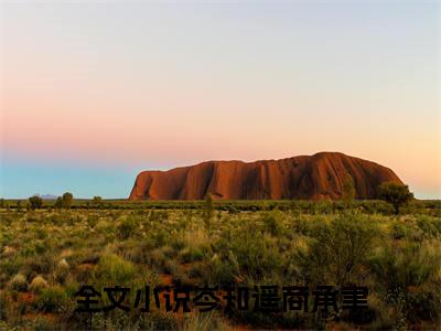 岑知遥商承聿小说（岑知遥商承聿）完整版大结局-岑知遥商承聿小说免费阅读
