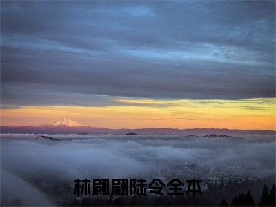 林翩翩陆令精选小说-林翩翩陆令全章节(林翩翩陆令)完整小说