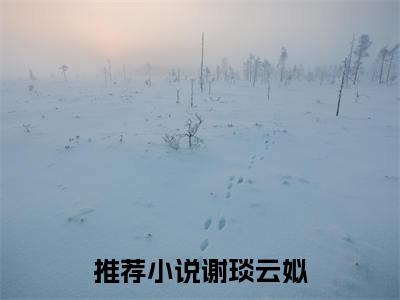 主角为谢琰云姒的抖音小说（谢琰云姒）讲的是什么-主角为谢琰云姒的小说叫什么