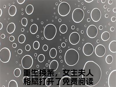 陆又龄程放小说讲的是什么-重生换亲，女主夫人格局打开了精彩章节目录观看