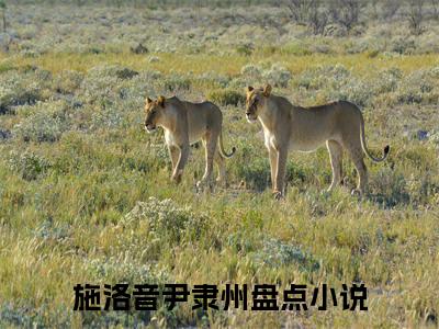 施洛音尹隶州（施洛音尹隶州）全文免费阅读无弹窗大结局_施洛音尹隶州小说全文免费阅读最新章节列表_笔趣阁（施洛音尹隶州）