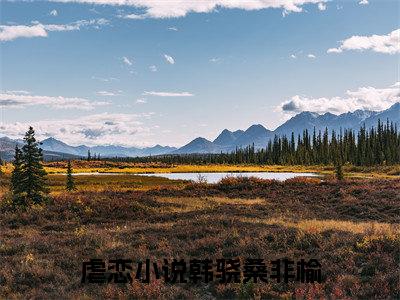 韩骁桑非榆小说最新章节（韩骁桑非榆）全文免费阅读无弹窗大结局_韩骁桑非榆免费阅读（韩骁桑非榆小说）