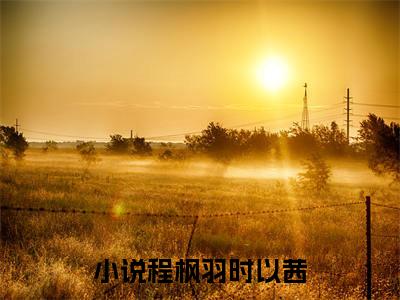 程枫羽时以茜（程枫羽时以茜）热门小说盘点在线阅读-程枫羽时以茜小说无弹窗