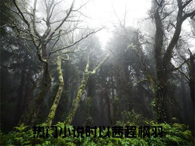 时以茜程枫羽(时以茜程枫羽)全文免费阅读无弹窗大结局_(时以茜程枫羽)免费阅读无弹窗最新章节列表