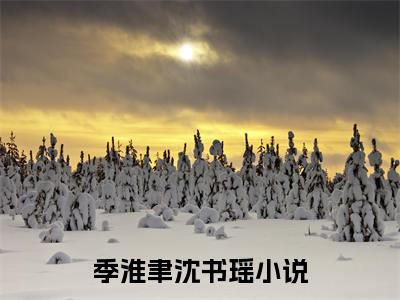 季淮聿沈书瑶全文免费阅读无弹窗大结局-季淮聿沈书瑶 全文全章节免费阅读