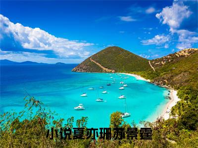 夏亦珊苏景霆（夏亦珊苏景霆）全文免费阅读无弹窗大结局_夏亦珊苏景霆在线阅读（夏亦珊苏景霆）