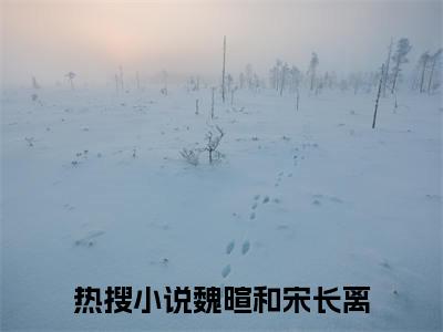 魏暄和宋长离（魏暄和宋长离全文阅读） 魏暄和宋长离新书热荐免费小说