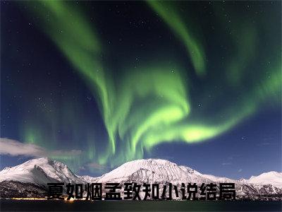 夏如烟孟致知最新（夏如烟孟致知 ）全文免费阅读无弹窗大结局笔趣阁