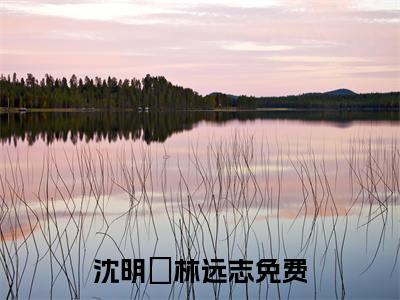 沈明琇林远志抖音最新热点小说，沈明琇林远志小说最新章节阅读