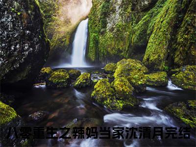 八零重生之辣妈当家沈清月全文免费完整版,八零重生之辣妈当家沈清月最新章节完整版阅读