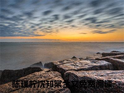 陈瑾柠沈知棠（陈瑾柠沈知棠）小说全文免费阅读正版无弹窗_(陈瑾柠沈知棠)最新章节列表