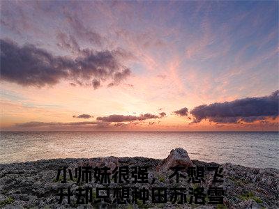 小师妹很强，不想飞升却只想种田苏洛雪阅读无弹窗大结局_（小师妹很强，不想飞升却只想种田苏洛雪阅读无弹窗）最新章节列表_笔趣阁（小师妹很强，不想飞升却只想种田苏洛雪）
