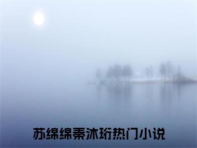 苏绵绵秦沐珩精选小说大结局阅读-最新小说(苏绵绵秦沐珩)全文阅读