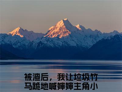 （黎洛谢辞年）最新免费小说大结局-小说黎洛谢辞年被渣后，我让垃圾竹马跪地喊婶婶全文免费在线阅读