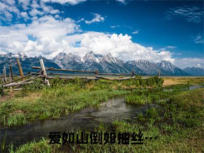 江如歌沈临渊（爱如山倒如抽丝…）全文免费阅读无弹窗大结局_江如歌沈临渊最新章节列表（爱如山倒如抽丝…）