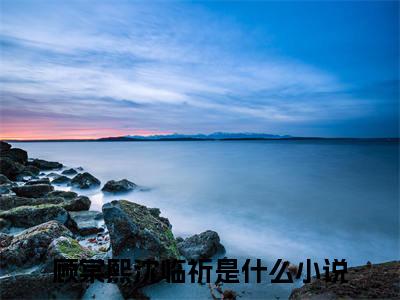 顾棠熙沈临祈（顾棠熙沈临祈小说）全文免费阅读无弹窗大结局_(顾棠熙沈临祈小说免费阅读全文大结局)最新章节列表_笔趣阁（顾棠熙沈临祈）