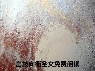 言枝向衡（言枝向衡）小说推荐精彩章节全文阅读-热门小说言枝向衡精选章节阅读