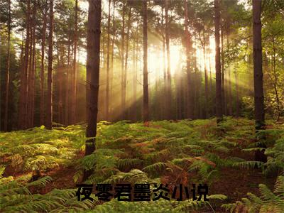 夜零君墨炎小说在哪里可以看-快手热推夜零君墨炎(夜零君墨炎)小说全章节最新阅读