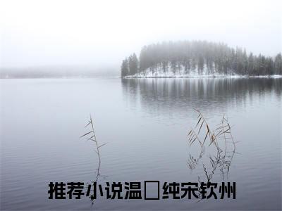 温玥纯宋钦州（温玥纯宋钦州）最新章节免费阅读全文-完结小说温玥纯宋钦州在线阅读