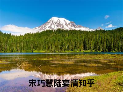 宋巧慧陆宴清小说（宋巧慧陆宴清）全文免费阅读无弹窗大结局_（宋巧慧陆宴清）宋巧慧陆宴清小说免费阅读无弹窗最新章节列表_笔趣阁（宋巧慧陆宴清）