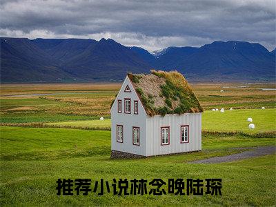 林念晚陆琛今日书单最新更新-林念晚陆琛全文在线观看