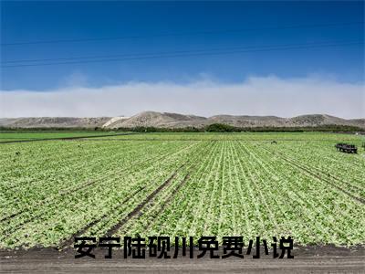 安宁陆砚川在哪免费看 安宁陆砚川结局是什么（安宁陆砚川）小说无弹窗免费阅读