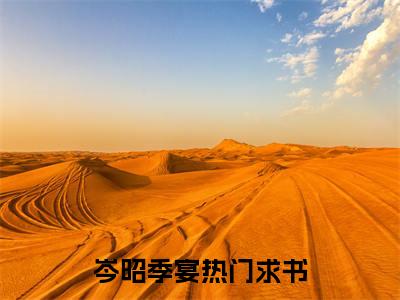岑昭季宴全文免费阅读无弹窗大结局-岑昭季宴 全文全章节免费阅读