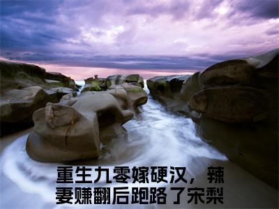 重生九零嫁硬汉，辣妻赚翻后跑路了宋梨初(重生九零嫁硬汉，辣妻赚翻后跑路了宋梨初)全文免费阅读无弹窗大结局_(重生九零嫁硬汉，辣妻赚翻后跑路了宋梨初免费阅读全文大结局)最新章节列表_笔趣阁（重生九零嫁硬汉，辣妻赚翻后跑路了宋梨初）