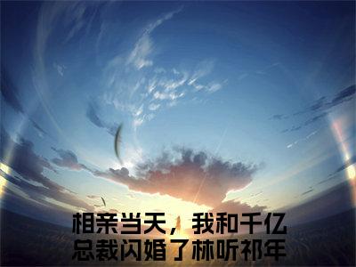 相亲当天，我和千亿总裁闪婚了大结局全文免费阅读最新章节_林听祁年大结局