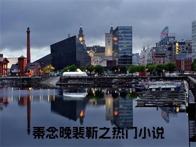 秦念晚裴靳之 全文免费阅读无弹窗大结局-秦念晚裴靳之全文无弹窗免费阅读大结局